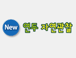 New 연두 자연관찰