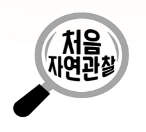 처음 자연관찰 20권 세트 이미지