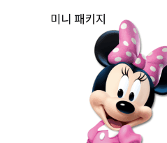 미니 패키지