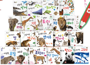 캥거루 자연주머니 이미지