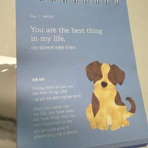 리뷰 이미지 1