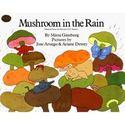 Mushroom in the Rain