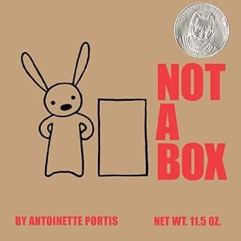 Not a Box 이미지