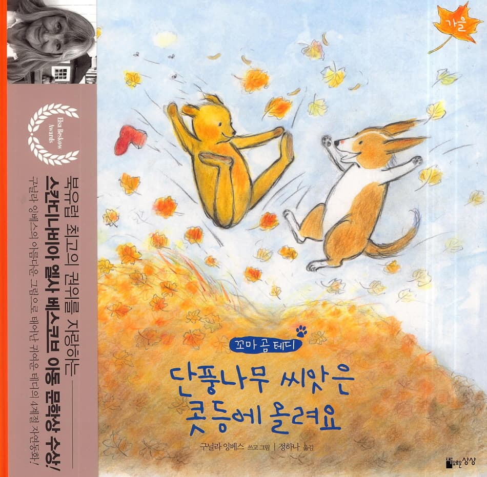 꼬마 곰 테디 단풍 나무 씨앗은 콧등에 올려요