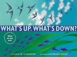 WHAT'S UP, WHAT'S DOWN?