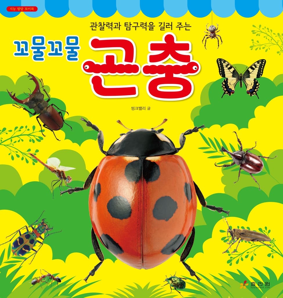 꼬물꼬물 곤충