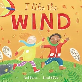 I Like the Wind ์ด๋ฏธ์ง