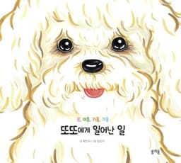 봄, 여름, 가을, 겨울 또또에게 일어난 일