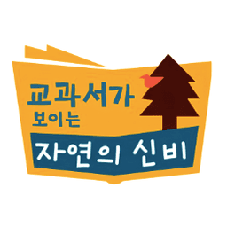 교과서가 보이는 자연의 신비