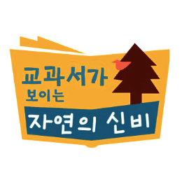교과서가 보이는 자연의 신비 이미지
