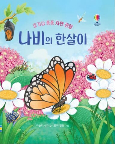 호기심 퐁퐁 자연 관찰 나비의 한살이 이미지