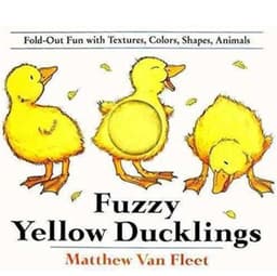 Fuzzy Yellow Ducklings