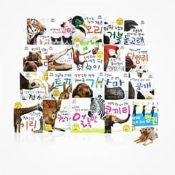 주주 픽처북