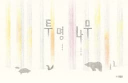 투명 나무