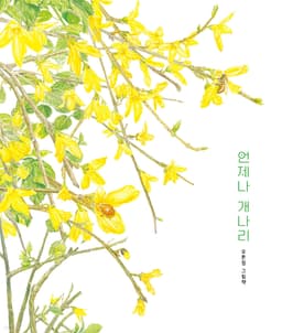 언제나 개나리