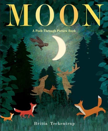 Moon: Night-time around the world