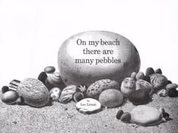 On The Beach There Are Many Pebbles