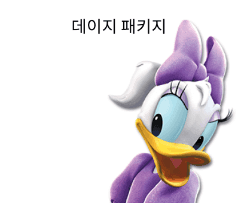 데이지 패키지 이미지