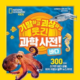 바다 이미지