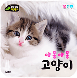 야옹야옹 고양이 이미지