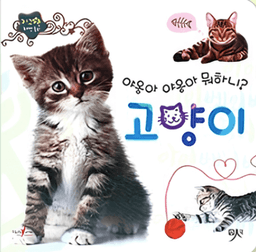 야옹아 야옹아 뭐하니? 고양이 이미지