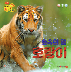 숲속의 왕 호랑이 이미지