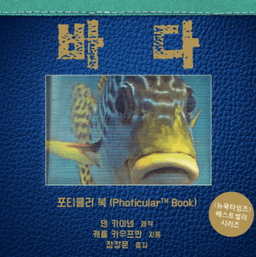 바다 이미지