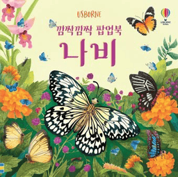 깜짝깜짝 팝업북 나비