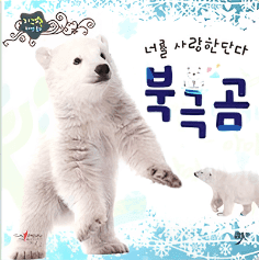 너를 사랑한단다 북극곰 이미지