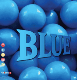 4. BLUE 이미지