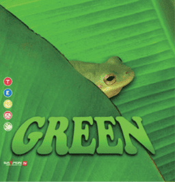 3. GREEN 이미지