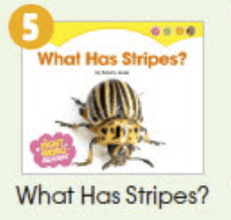 5. What Has Stripes? 이미지