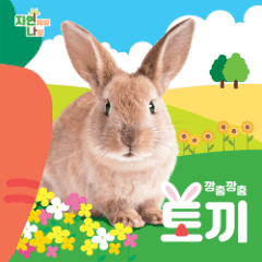 깡충깡충 토끼 이미지