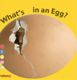 12. What's in an Egg? 이미지
