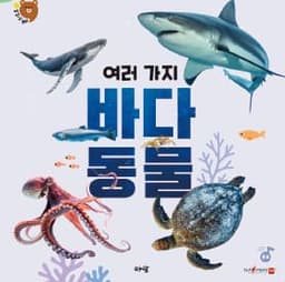 2. 여러 가지 바다 동물 이미지