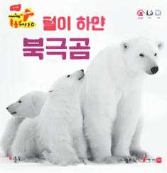 털이 하얀 북극곰 이미지
