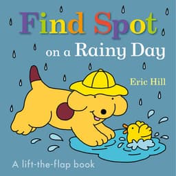 Find Spot on a Rainy Day 이미지