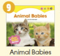 9. Animal Babies 이미지