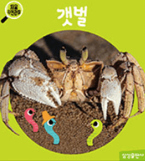 갯벌 이미지